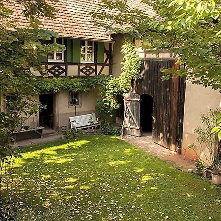 Unter Der Linde Nordheim