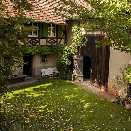 Unter Der Linde Nordheim