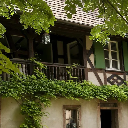 Unter Der Linde Nordheim